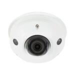 Luma Surveillance Serie 310 Dome IP