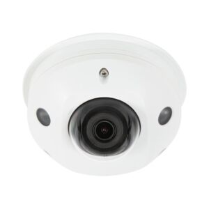 Luma Surveillance 310 Serie Dome IP