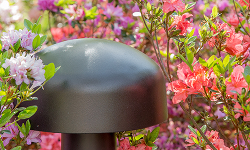 Episode Terrain DVC Subwoofer