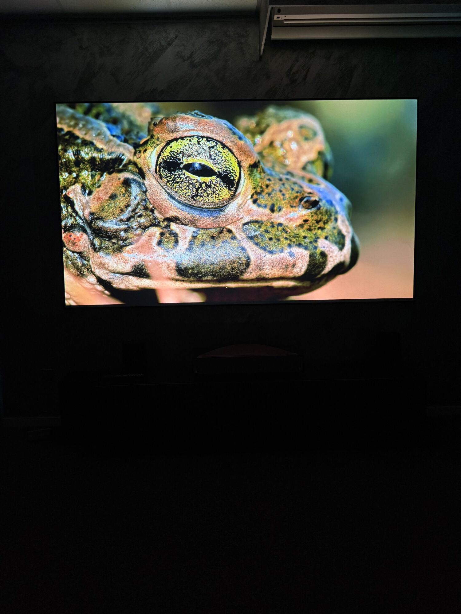 Hisense L9Q Test