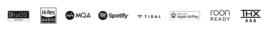 Bluesound NODE ICON