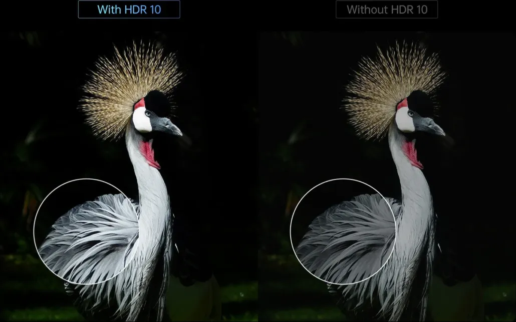 HLG -  Das unsichtbare Format, das HDR im Fernsehen möglich macht