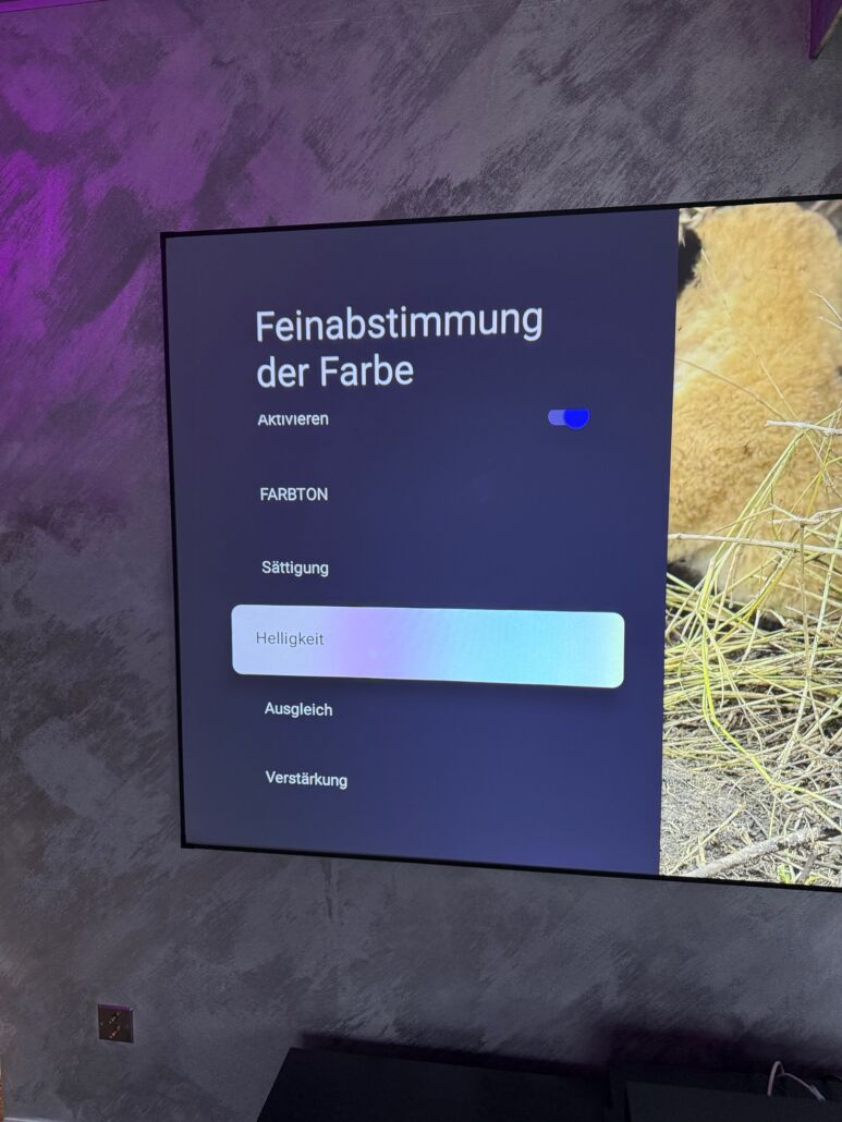 FORMOVIE Cinema Edge Test & Vorstellung
