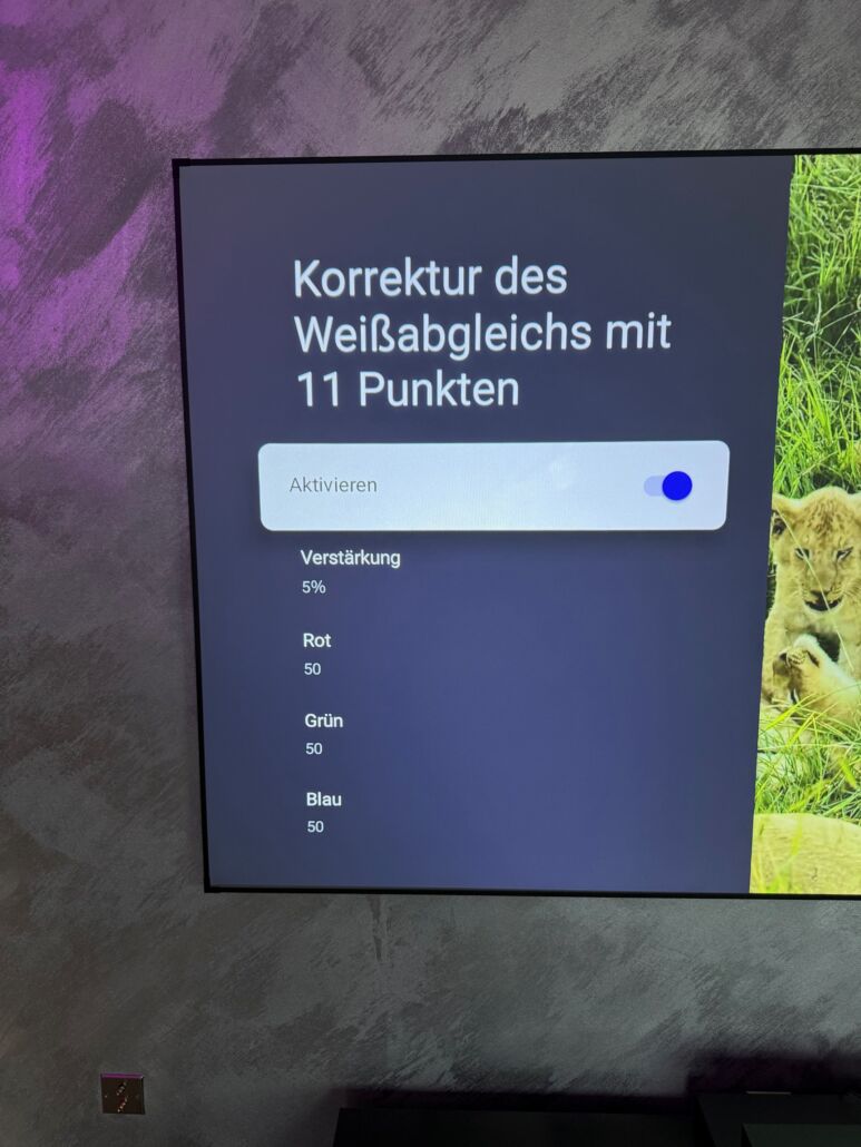 FORMOVIE Cinema Edge Test & Vorstellung