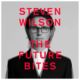 Steven Wilson - Tulevaisuus puree