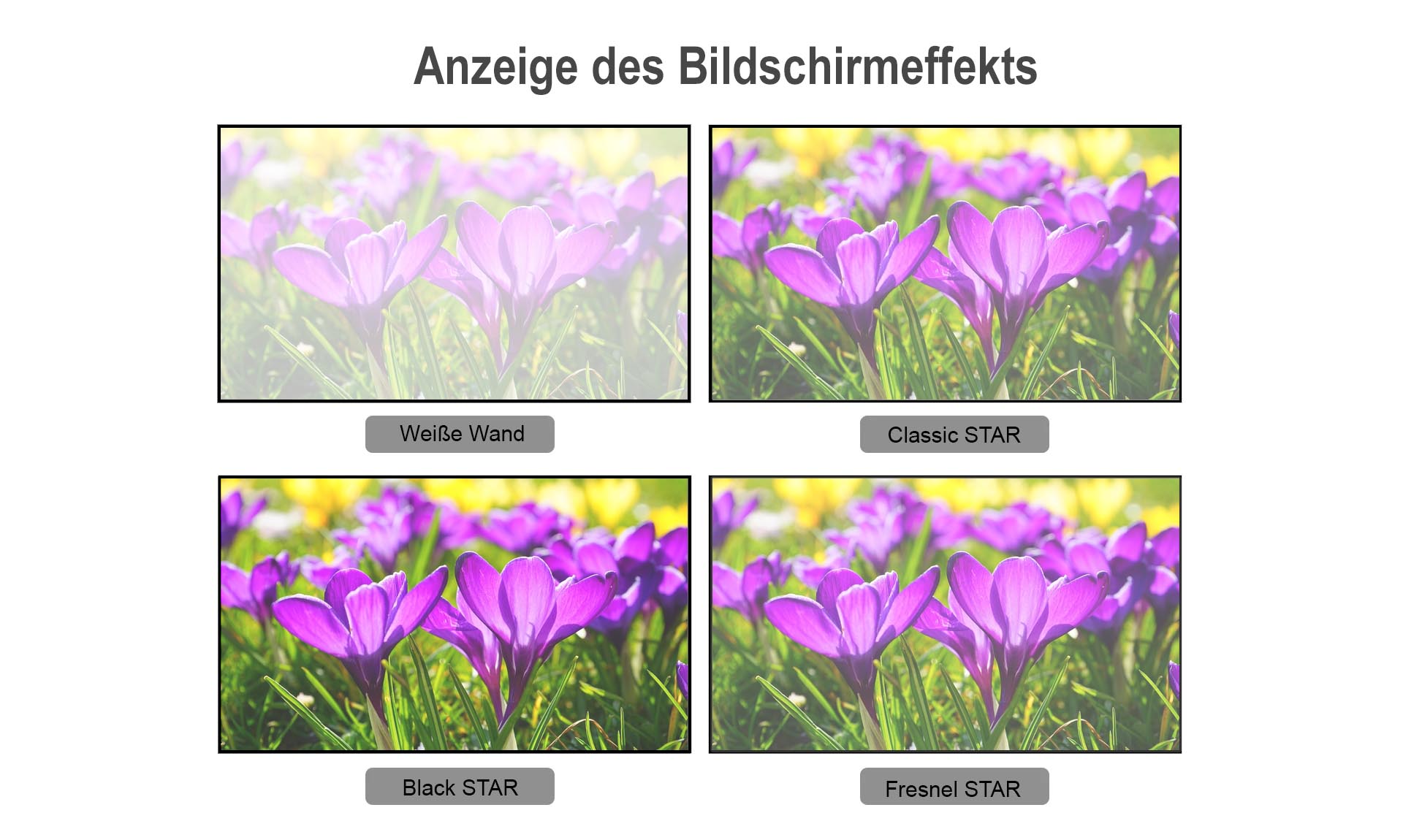 Vergleich CLR Leinwände Weiße Wand und SoftFresnel