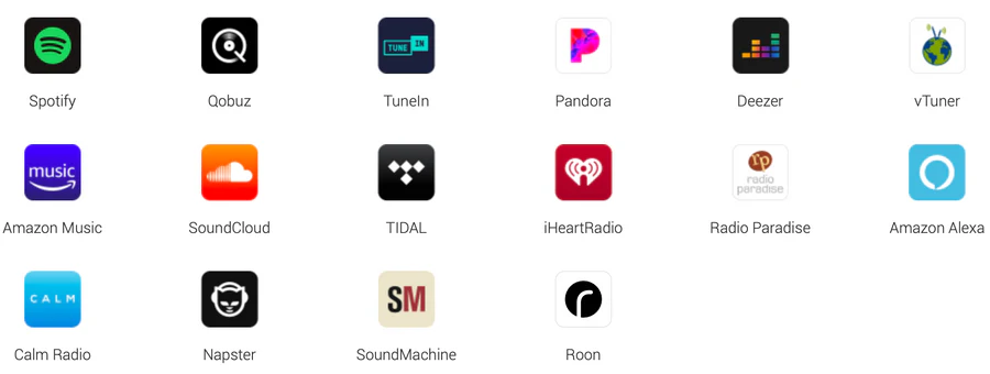 WiiM Pro – High-Res Audio Streamer