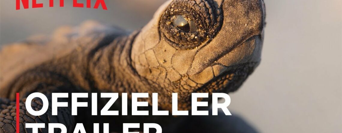 Unser Planet II Offizieller Trailer